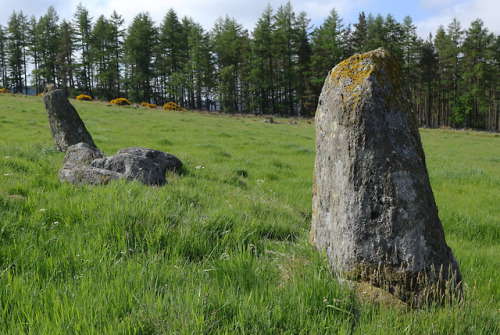 ‘Eslie The Greater’ Stone Circle, nr Banchory, Scotland, 30.5.18.Within a few hundred me