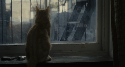 cinemawithoutpeople: Cinema without people: Inside Llewyn Davis (first pass, with cat) (2013, J