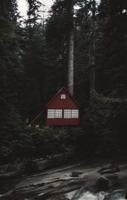 kodiakstag:  Where I dwell, is somewhere