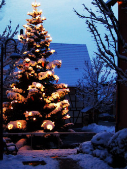 dreamsofchristmas:  Christmas Blog! All Year!