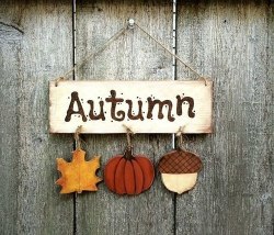 Let's Fall In Love with Autumn!