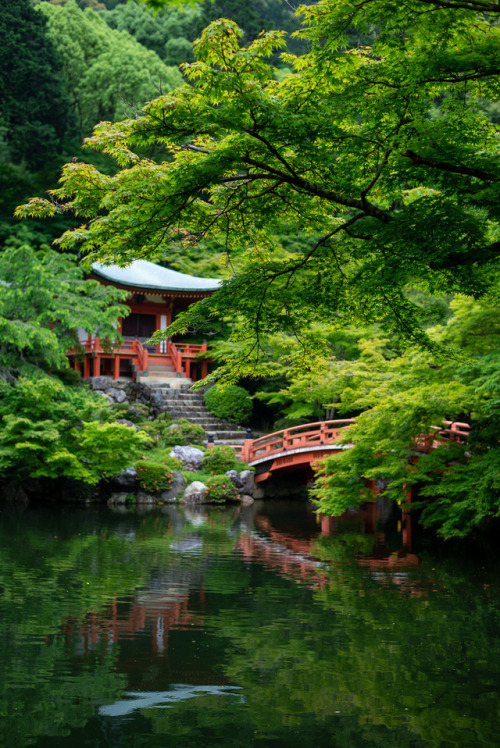 iesuuyr:Kyoto, Japan | 藍迪 蔡