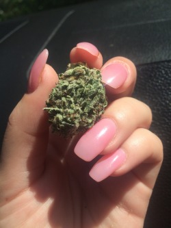 surreal-baby:  reeferjean:  nugs&nails