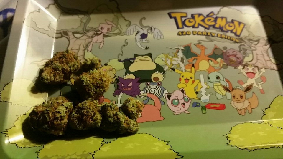 danktaco:  Picked up a new tray and some killer bud. Mainly wanted to show off the
