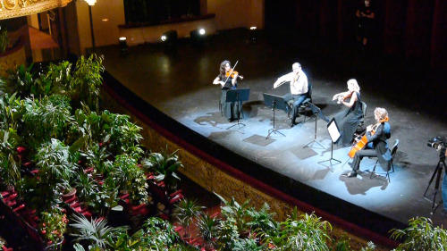 itscolossal: 2,292 Plants Fill the Audience in Opening Performance at Barcelona’s Gran Teatre 