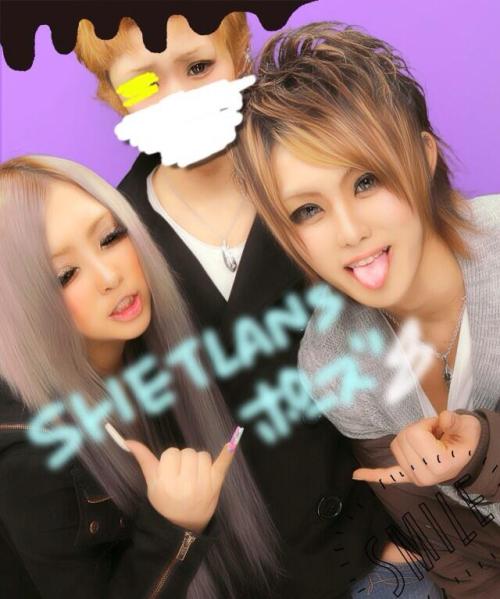 ningyo-sekai: Omg it’s Shetlans!! ^o^