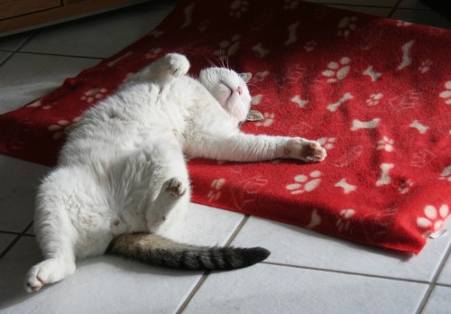 cybergata:  Getting comfortable