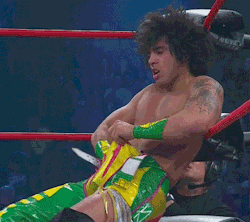 wweass:  I’m rather obsessed with Zema