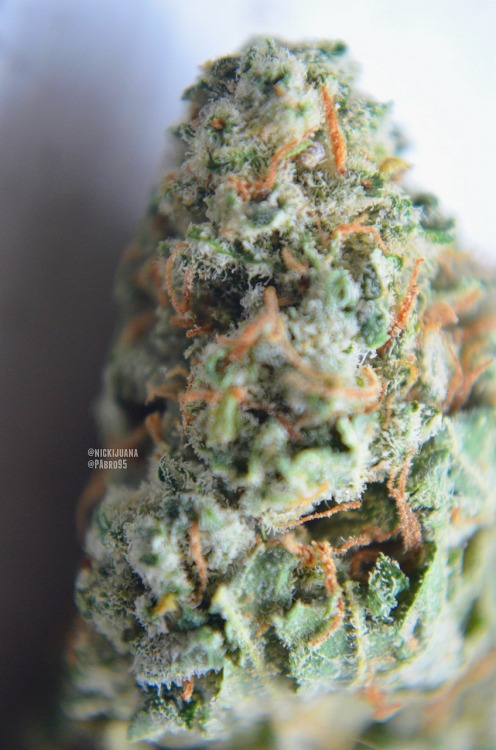 nickijuana:  Mine