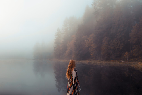 owls-n-elderberries: Autumn Solitude by Lizzy Gadd Via Flickr: