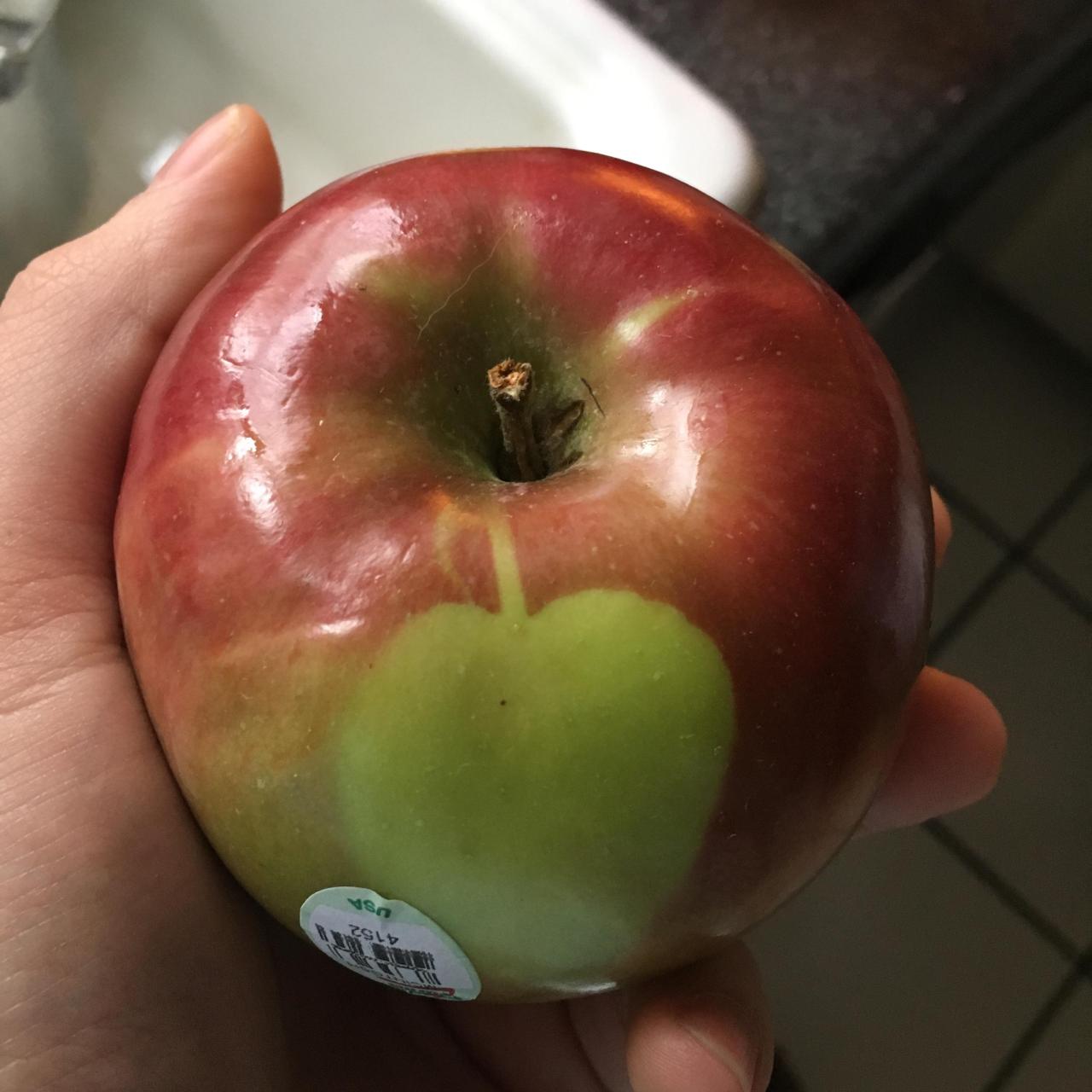coluring:  my apple has an apple on it                              
