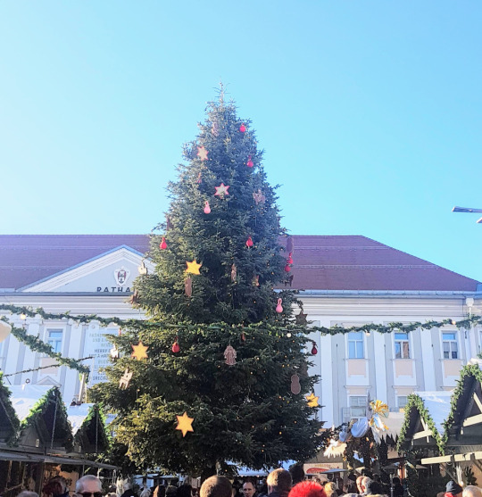 Albero Di Natale Vero Come Farlo Sopravvivere.Alberi Di Natale Tumblr