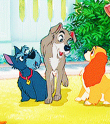 lovelydisneys:  “Ah, but remember, my friends. Even Tramp has his Achilles heel.” 