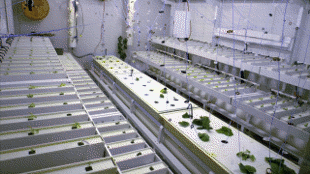 2-spooky-s:  chalkandslaughter:  University of Arizona’s Growth Chamber on Antarctica. (From BBC’s Frozen Planet)  damn the plant bloggers gonna lose there shit for this one 