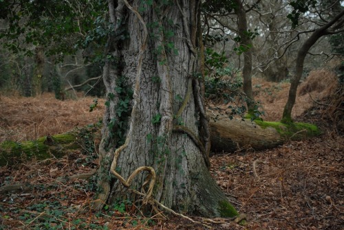 buron: The Well at the World’s End (1)©buron - February ‘15