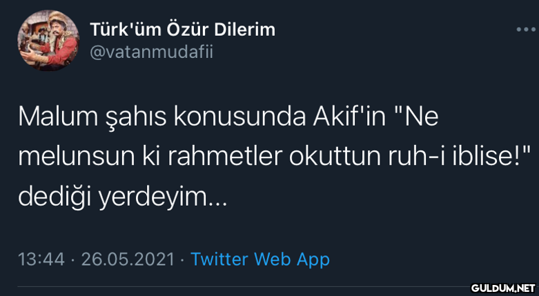 Türk'üm Özür Dilerim...