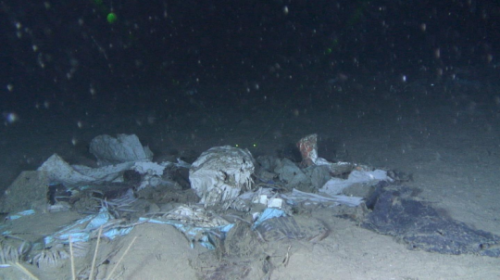 Accumulation of marine litter in an unknown canyon from the Mediterranean at 450 m depth.Photograph: