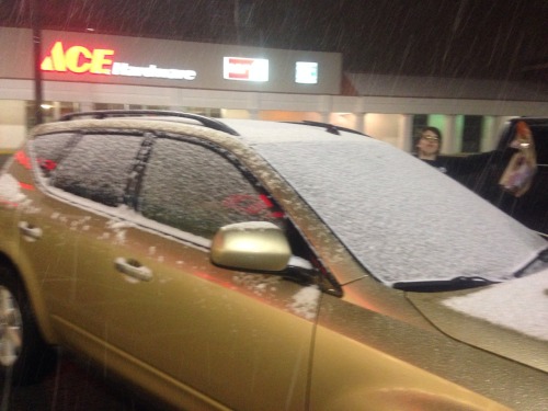 hufflepuffthemagicdragon:  hunkules:  iloveyoulikekanyeloveskanye:  moeranda:  dadiva18:  jen-the-pariah:  jennyrage:  cthulhupeelz:  n0tsaved:  cthulhupeelz:  erinmariemcg:  Southern Snowstorm  Minnesotans and Wisconsinites laughing in the distance.