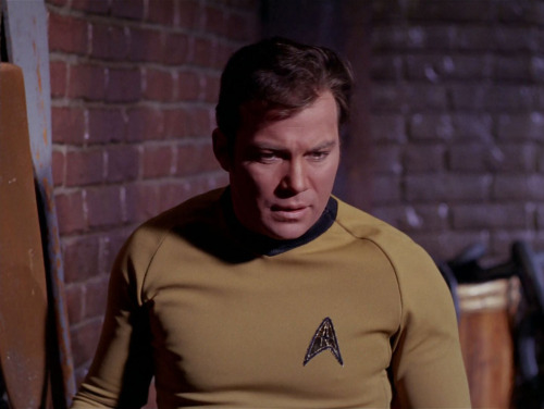 classictrek: Let us take a moment from our busy lives to appreciate William Shatner’s facial e