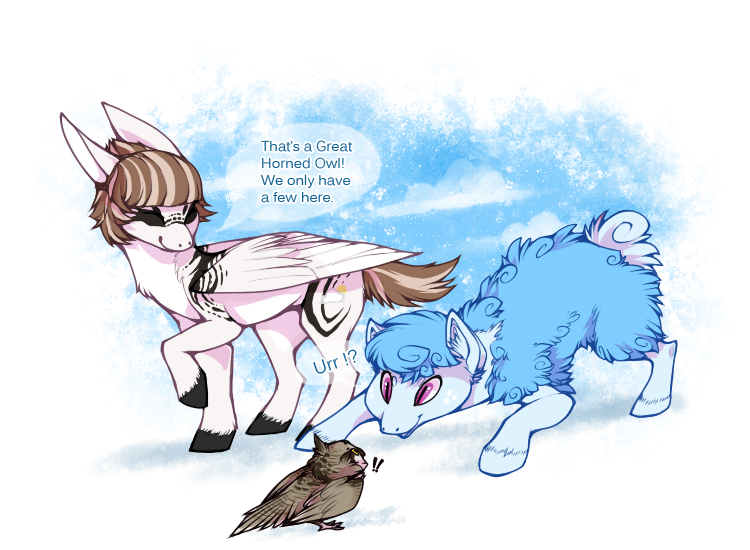 ask-curlymane:  asktheowlponysisters:  This one was fun to draw. &lt;33 Curlymane