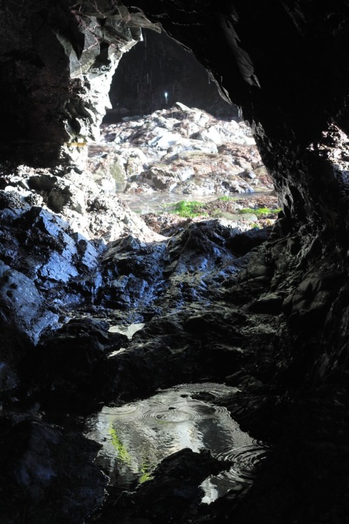 inside the pink palaceMendocino Headlands State Park, CA