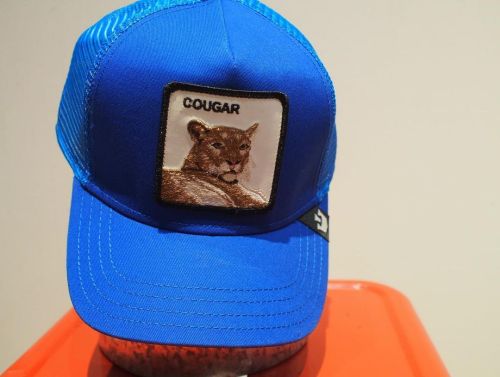 Goorin Bros Cougar Mesh back Trucker hat - Cerulean Blue Puma, mountain lion, catamount…whate