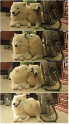 awwww-cute: This is Love 