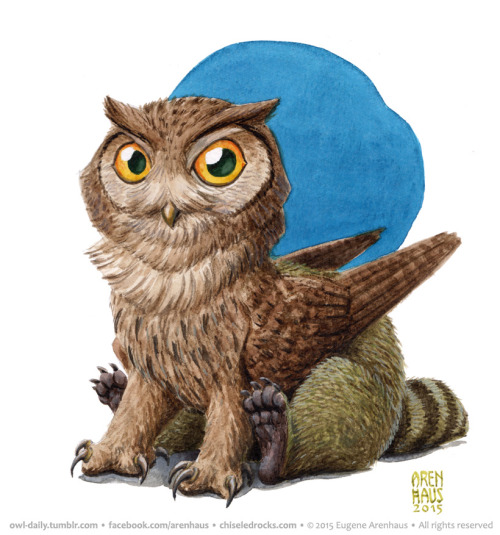 owl-daily:  №330: Owl griffin.