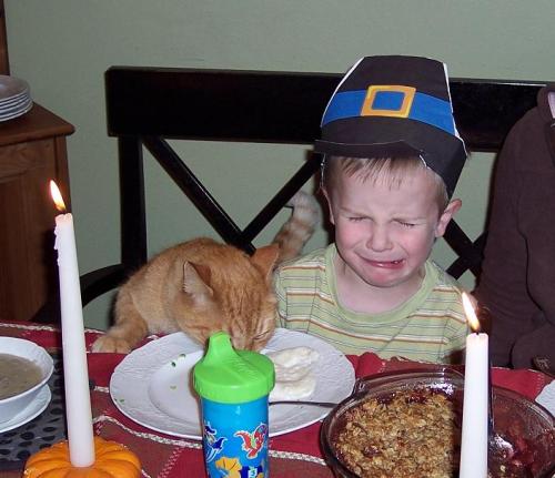 reasonsmysoniscrying: This cat is helping him finish his mashed potatoes.Submitted by: Becca D.Locat