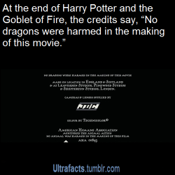 andreaweasley:  ultrafacts:  1017sosa300:  ultrafacts:  ayyyziam:  lasimms:  ultrafacts:  Source More Ultrafacts  Oh thank God  at the end of Monsters Inc it says that no monsters were harmed either      and Guardians of the Galaxy:    And   Mr. Popper’s