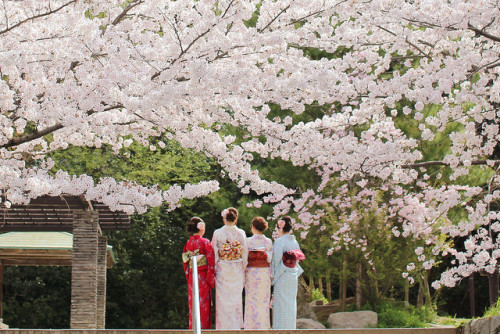 fuckyeahjapanandkorea:  Kyoto, Japan by ゆるくる 