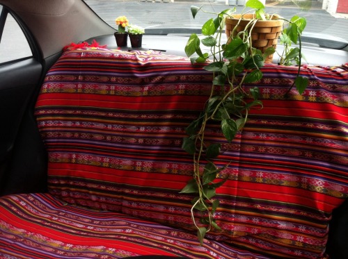 dayzea:  Backseat. 