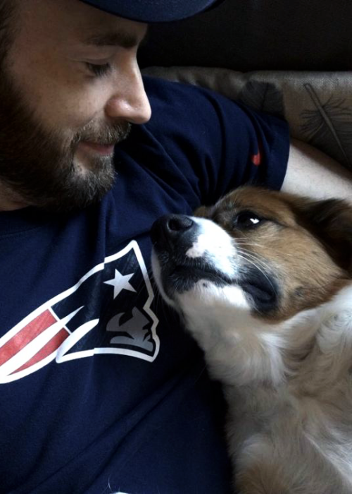 Chris Evans And Dodger Being Best Buds.