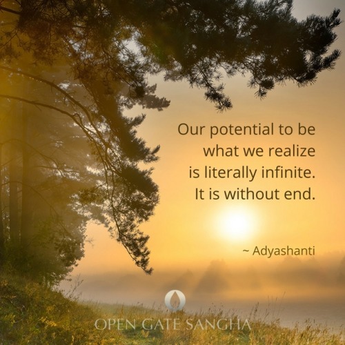 “Our potential to be what we realize is literally infinite. It is without end.” —Adyashanti