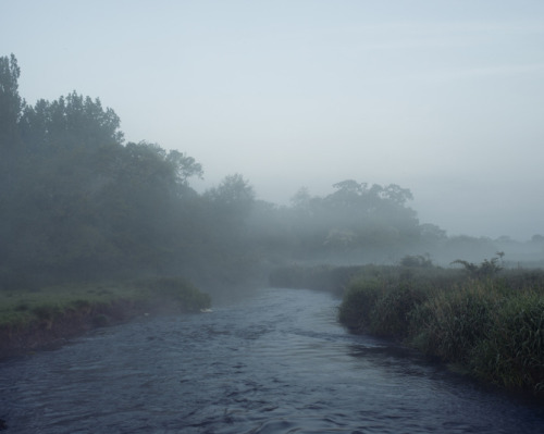 foxmouth:  The White Whale, 2014 | by Robert porn pictures