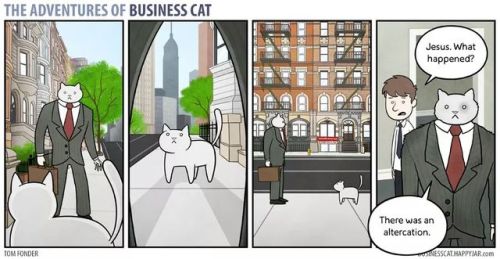klubbhead: tomibunny: a-night-in-wonderland: The Adventures Of Business Cat #i like these cause it