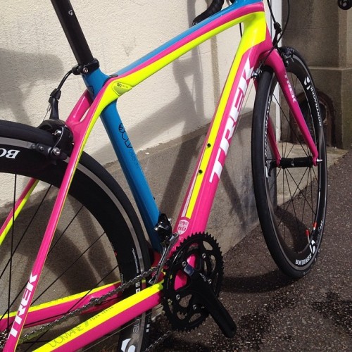 bici-veloce:From julietelliott - OH my gawd!!!! The Trek Domane I won on @roadcc’s competition just 