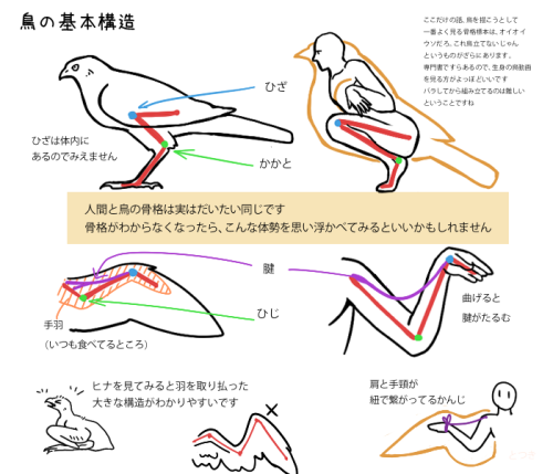 digiartlab: 鳥やタカを描いてみよう How to Draw Birds 