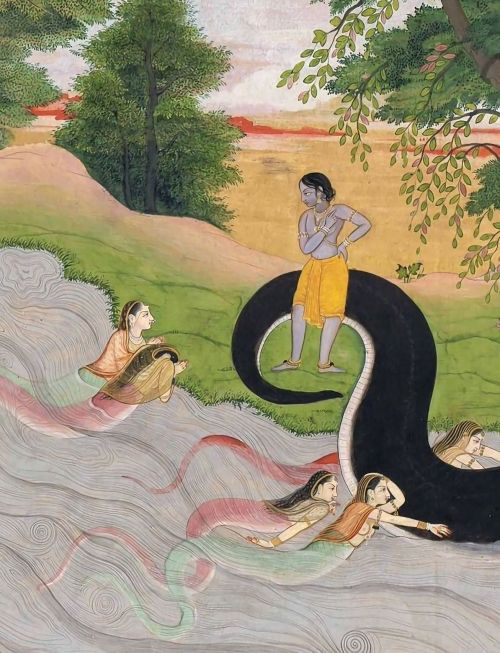 Krishna Defeats Naga Kaliya, pahari painting