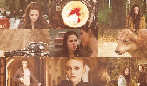  Color palette of The Twilight Saga. Based on the various tints of the individual
