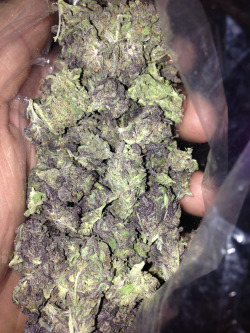 habitual-sm0ker:  thank you kush gods. 
