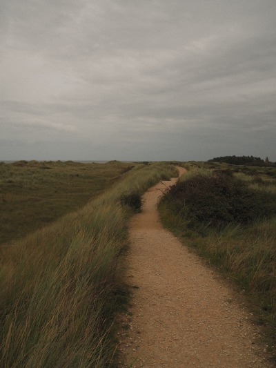 inthismeadow:moody coastal walks have my heart 🌧