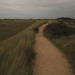 inthismeadow:moody coastal walks have my heart 🌧