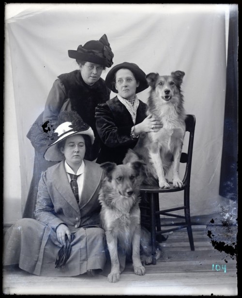 For National Puppy Day, some favorite pups in our Digital Collections. Woof!From the Hugh Mangum Pho