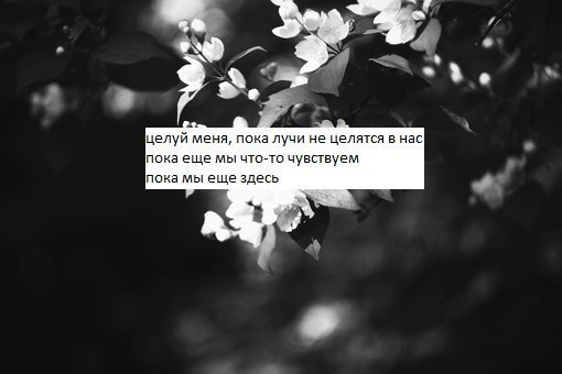 Пока еще мы что то чувствуем. Целуй меня пока лучи не. Пока лучи не целятся в нас. Целуй меня пока лучи не целятся. Целуй меня пока мы еще что то чувствуем.