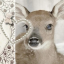 little-bambi-eyes