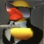 imasmallduck