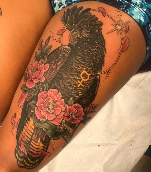 Cockatoo magic for my first tattoo home from Europe. Can we talk about how lovely colour can look on