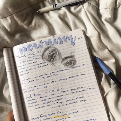 december 5, 2017 history notes in my french journal ft. eye doodles ✨