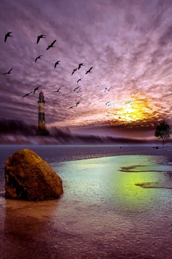 tulipnight:  FB PHOTO SUNRISE LIGHTHOUSE